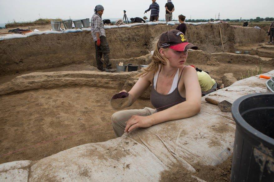 New discovery allegedly proves Georgia is the birthplace of wine culture geotv.ge